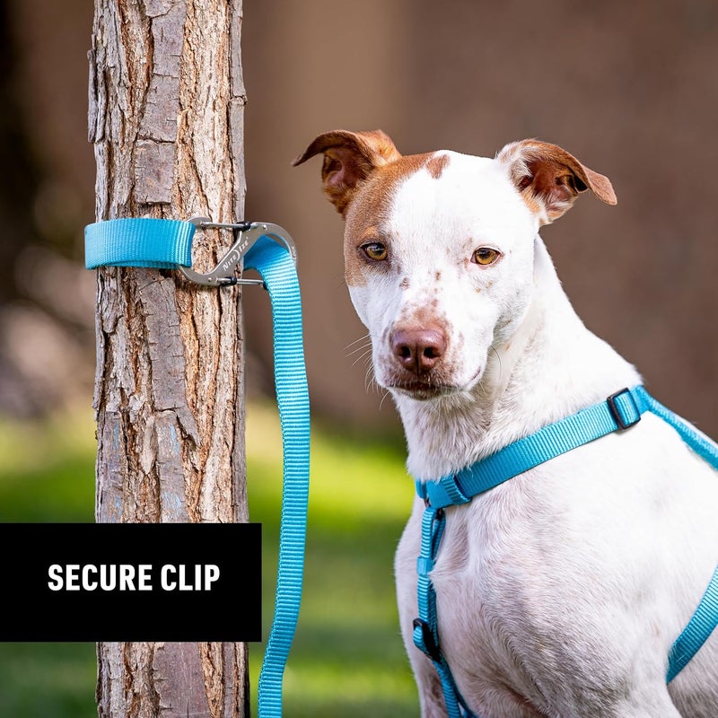 NiteIze SlideLock Pet S-Biner - Stainless Steel Dual Carabiner for Securing Pets & Clipping Leashes - Lightweight Carabiner for Easily Attaching - S-Biner with Slide-to-Lock Feature - 3 Pack - Image 4